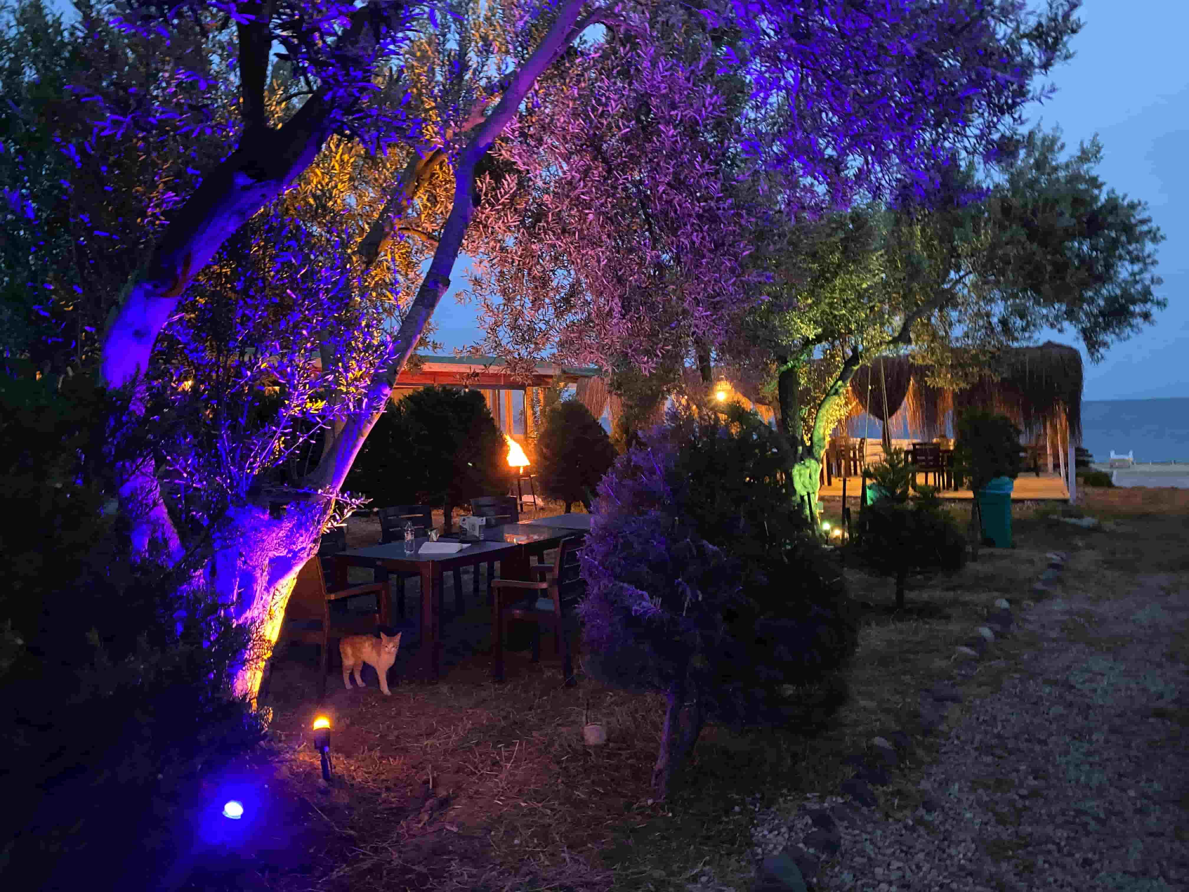 Çanakkale Bungalov Projesi thumbnail 2